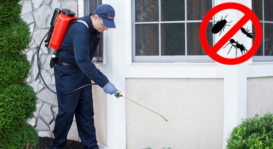Soma Akrep İlaçlama böcek ilaçlama ve haşere kontrolü — ilaclama-tr.com